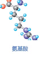 安善贸易